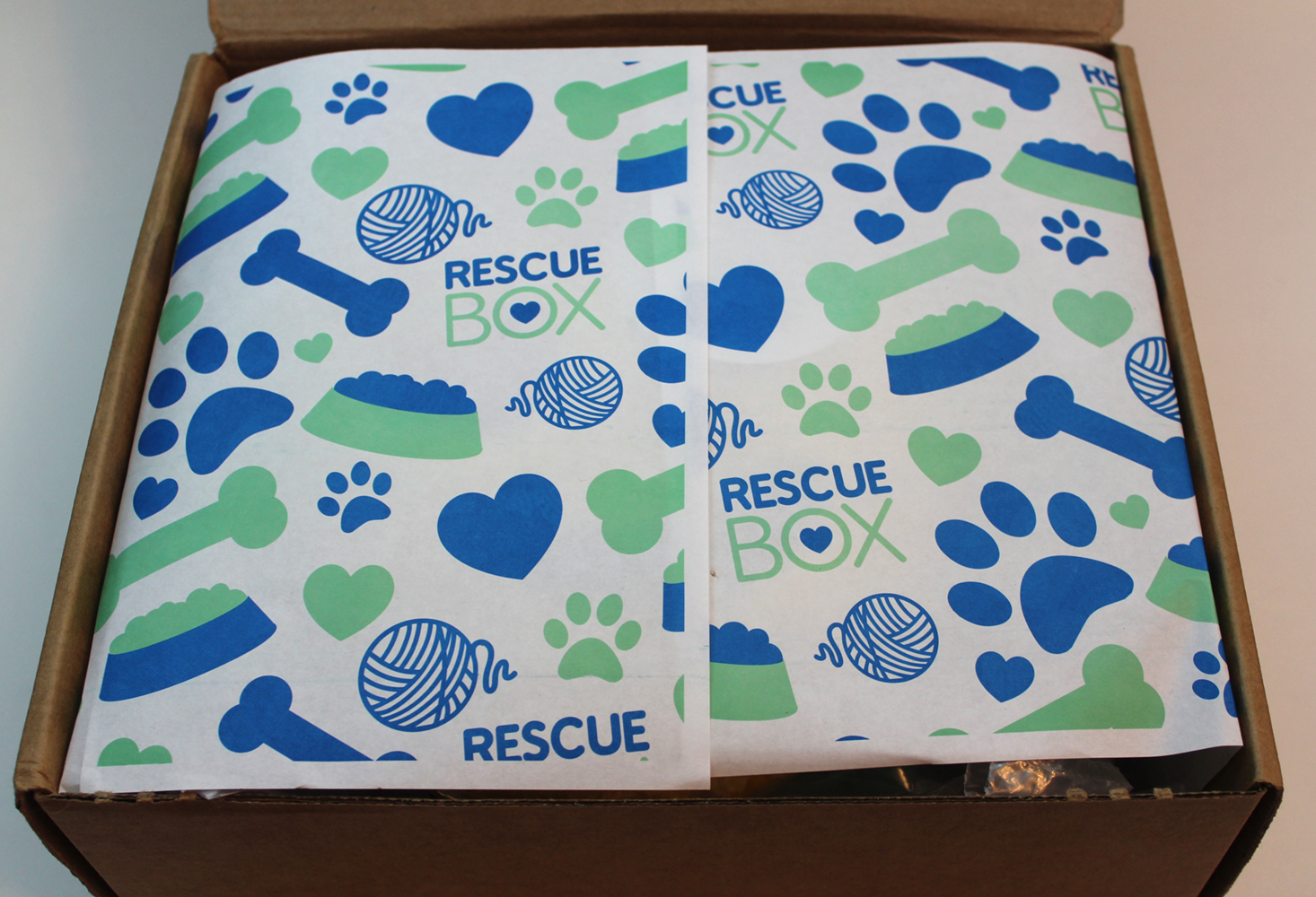 rescue-box-january-2017-inside1