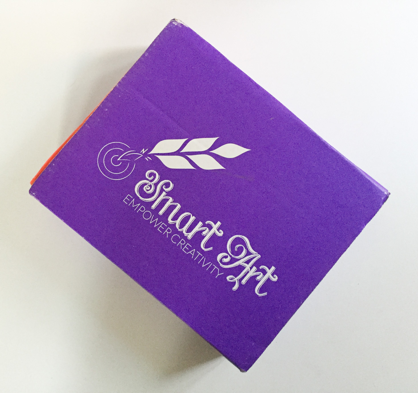 Smart Art Subscription Box Review + Coupon – January 2017