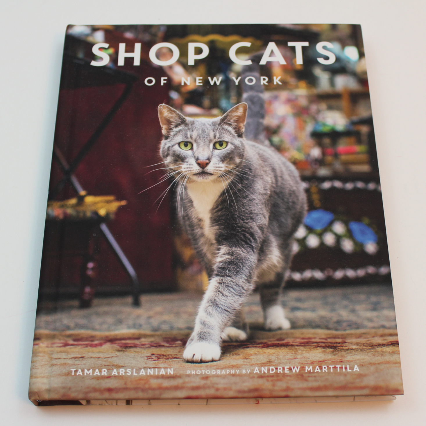 the-cat-kit-january-2017-book