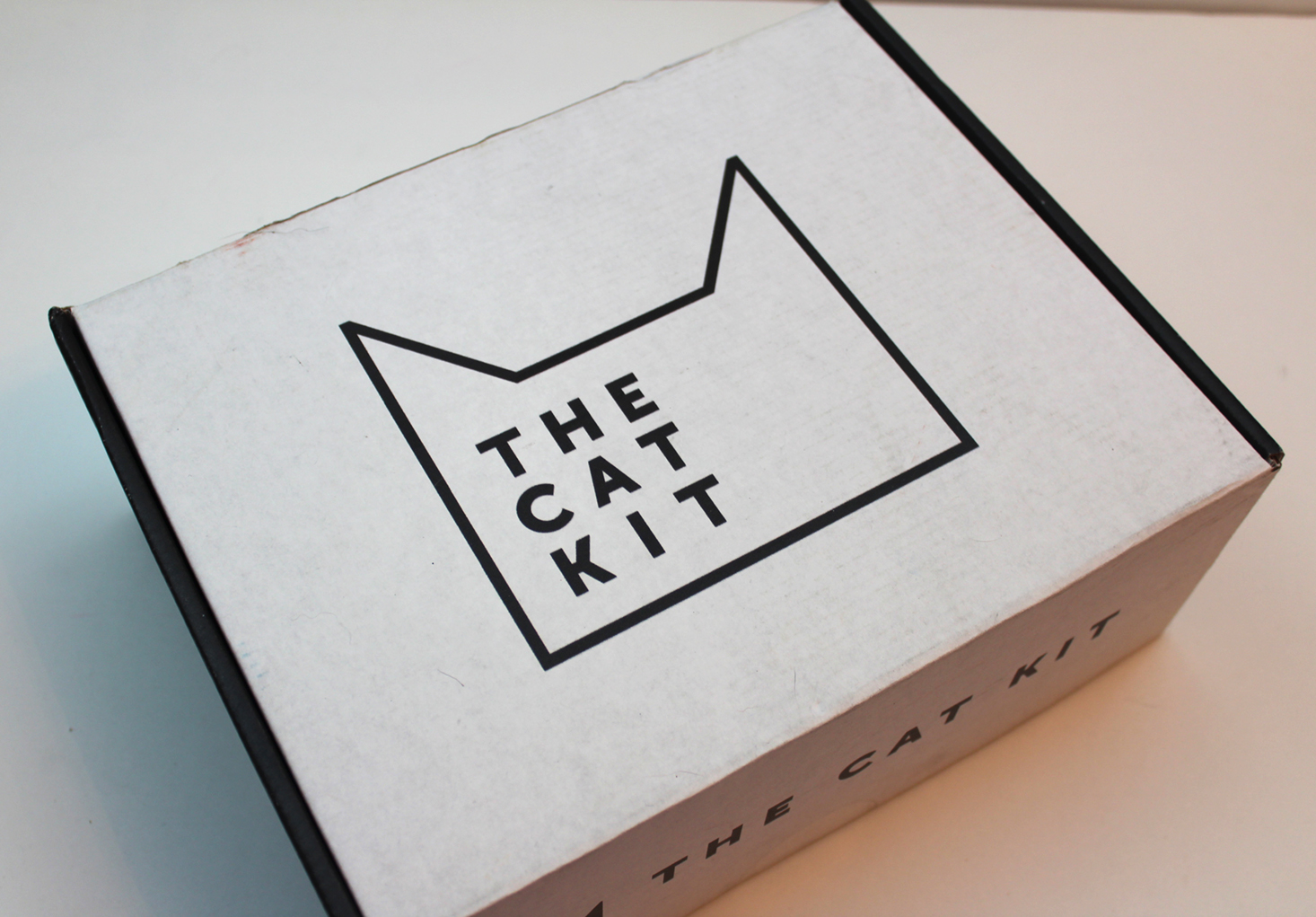 the-cat-kit-january-2017-box