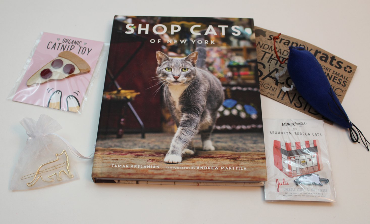 the-cat-kit-january-2017-review