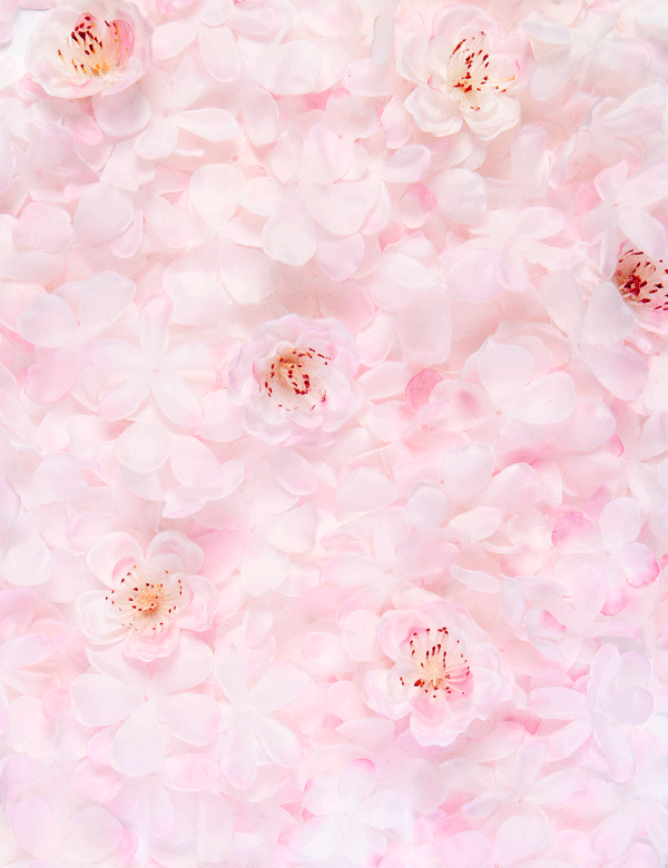 GlossyBox February Hint