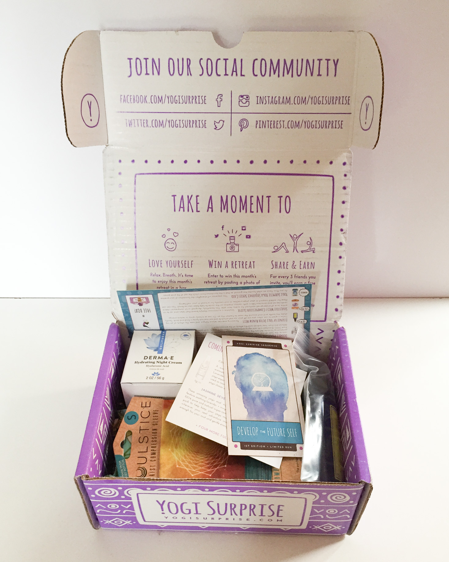 yogi-surprise-january-2017-box-inside