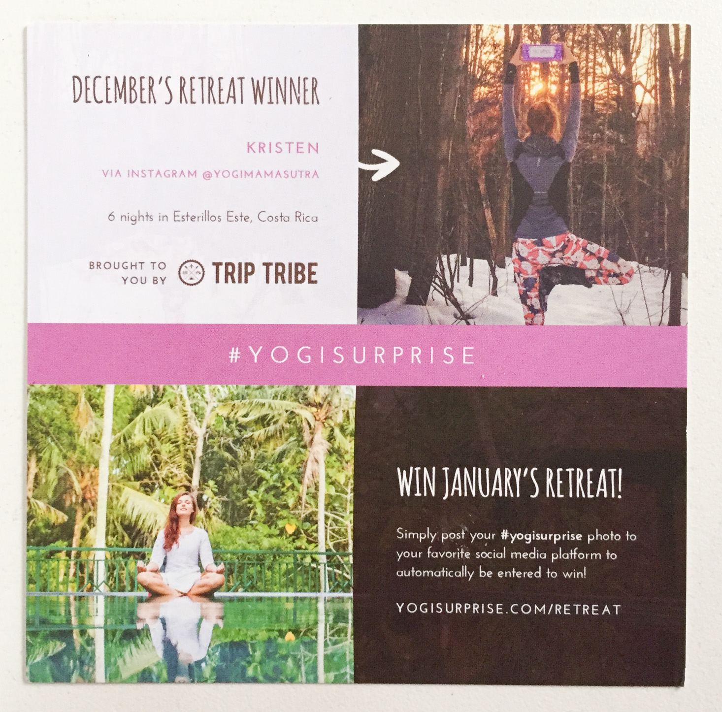 yogi-surprise-january-2017-giveaway