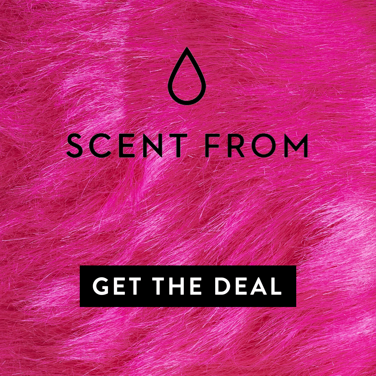 Galentine’s Day Deal – Free T-shirt With Scent From Subscription!