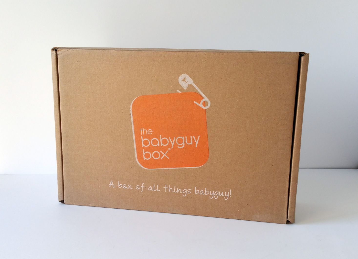 The BabyGuy Box Subscription Review – February 2017