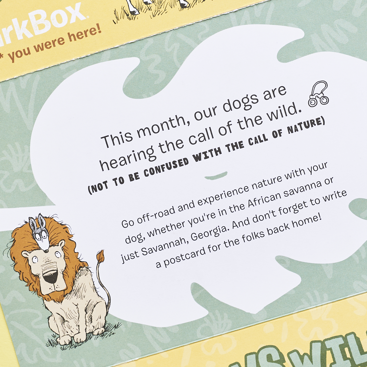 Barkbox-February-2017-0008