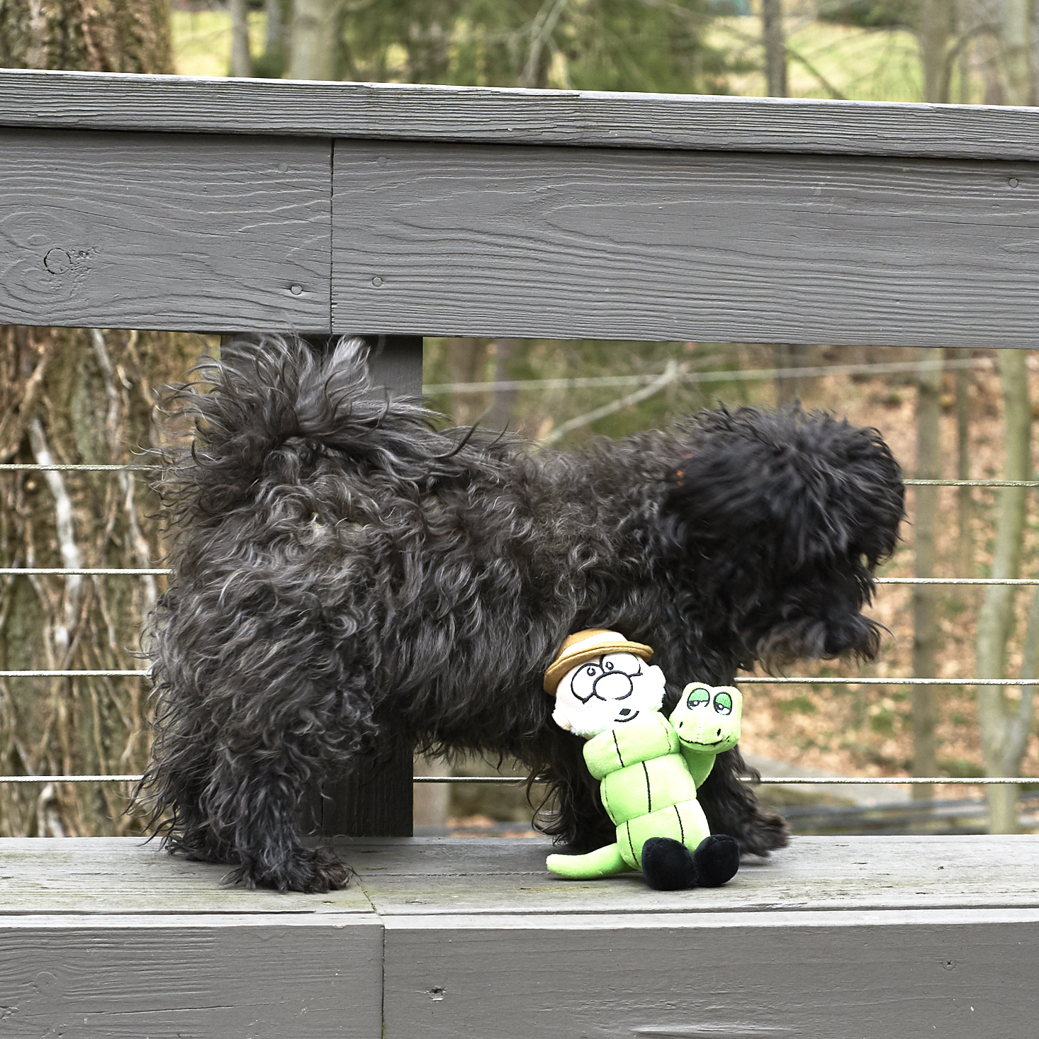 Barkbox-February-2017-0028