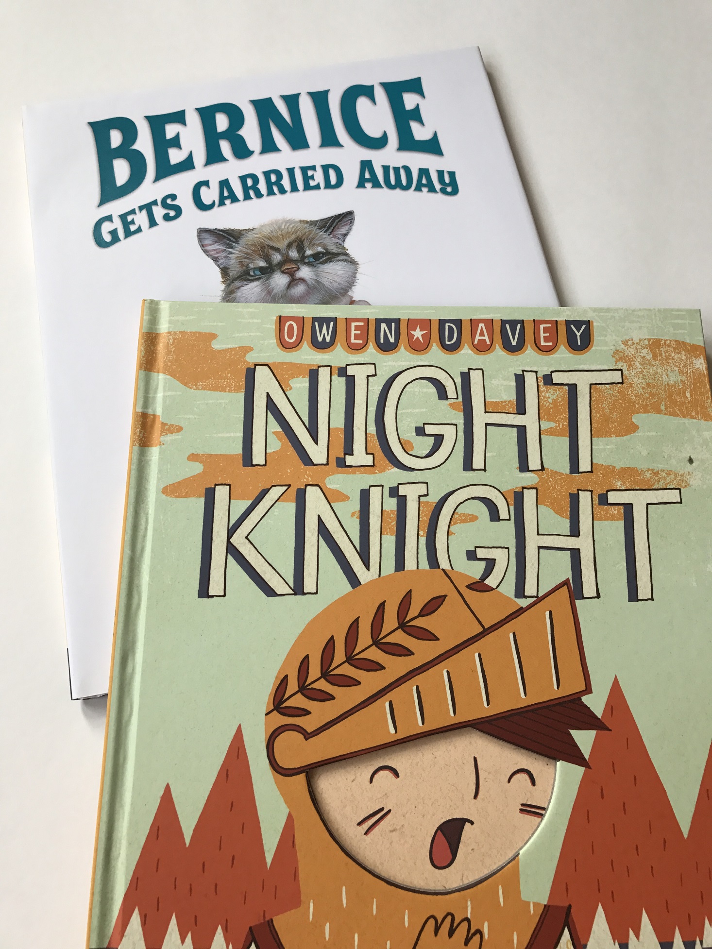 Bookroo-February-2017-Review