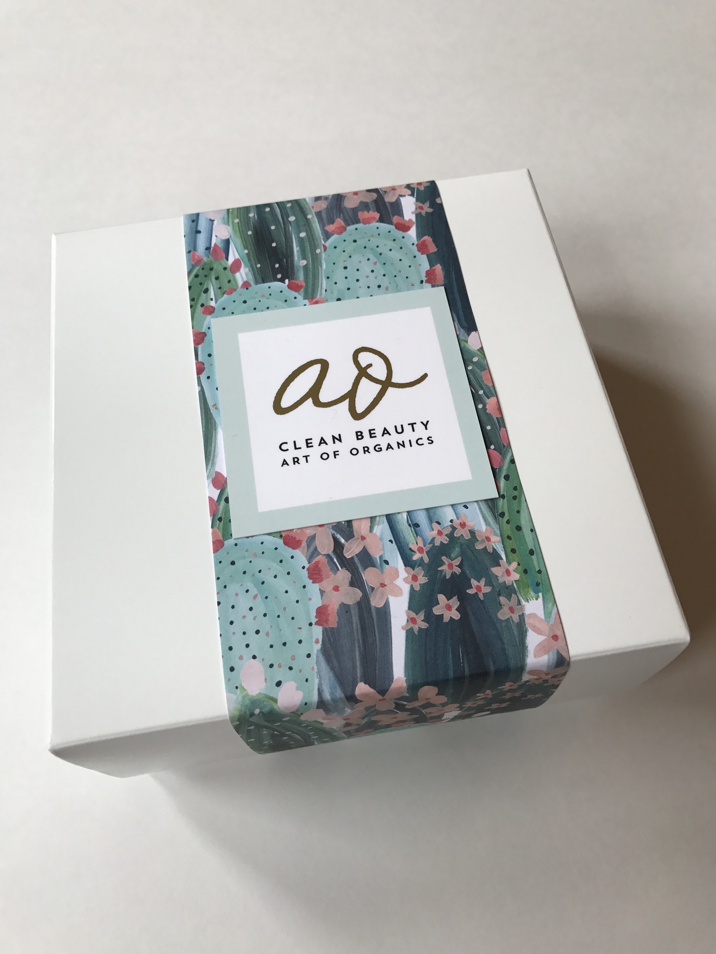 Clean-Beauty-Box-January-2017-Box