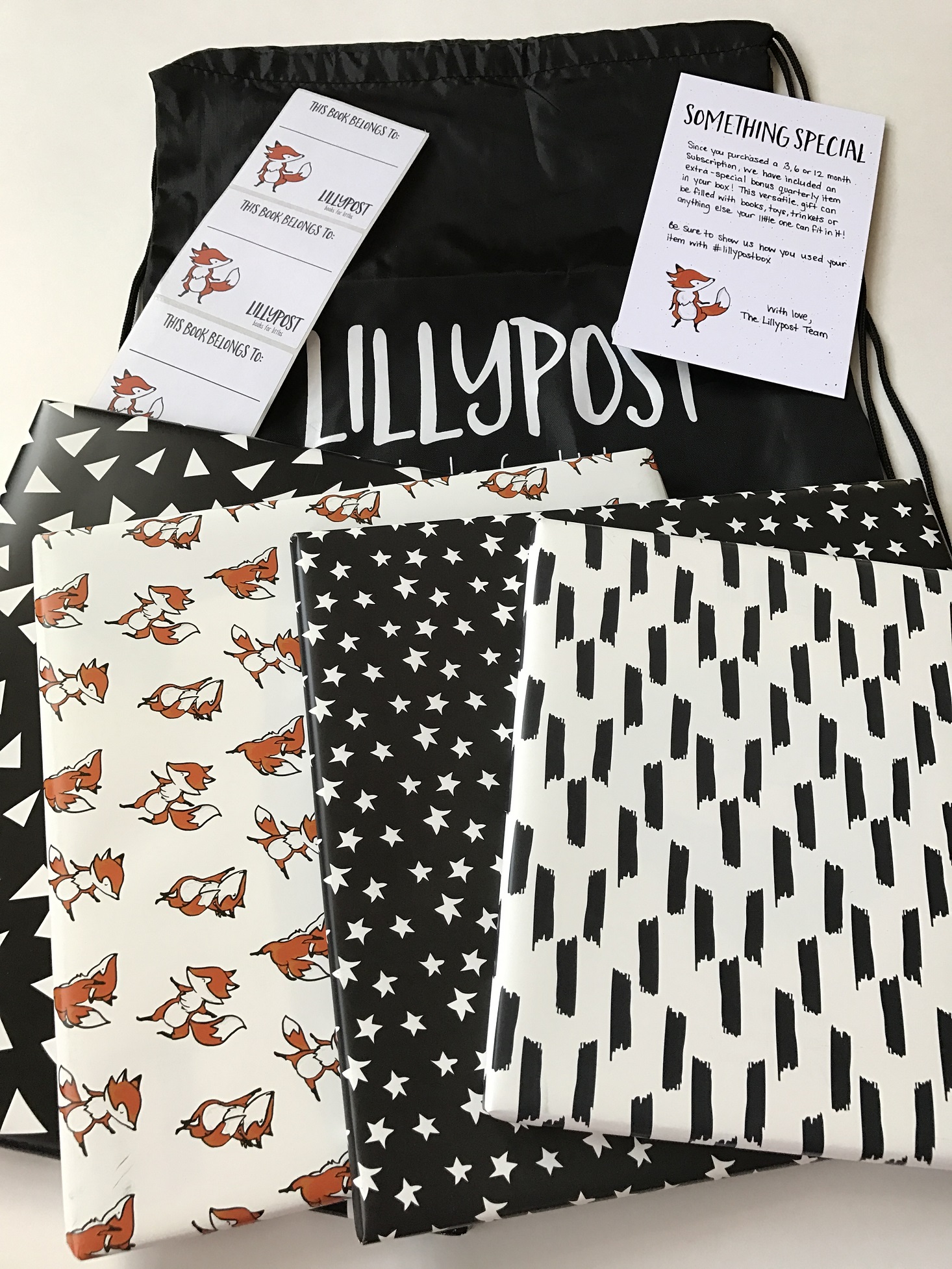 Lillypost-February-2017-Wrapped