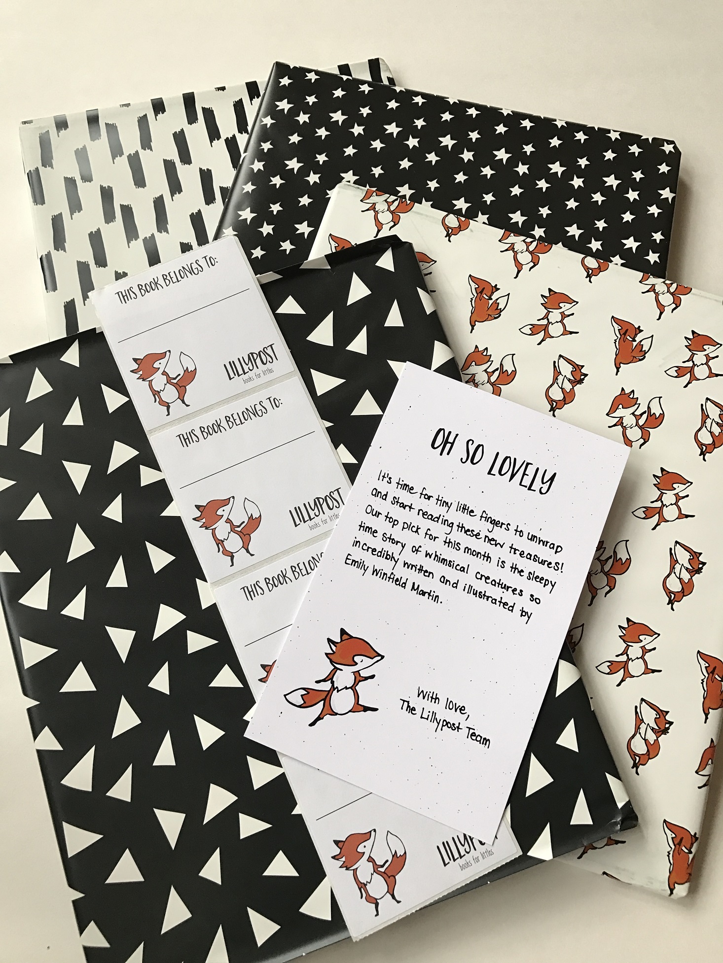 Lillypost-Picture-Books-January-2017-Books-Wrapped