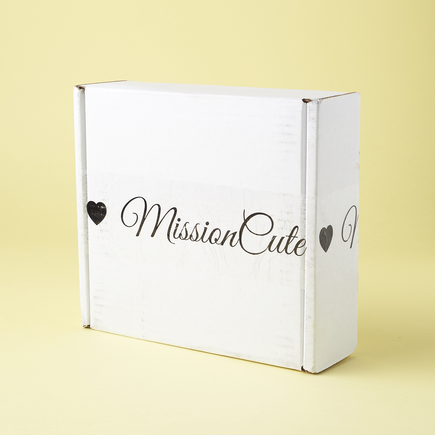 Check out what's inside the January 2017 Mission Cute box!