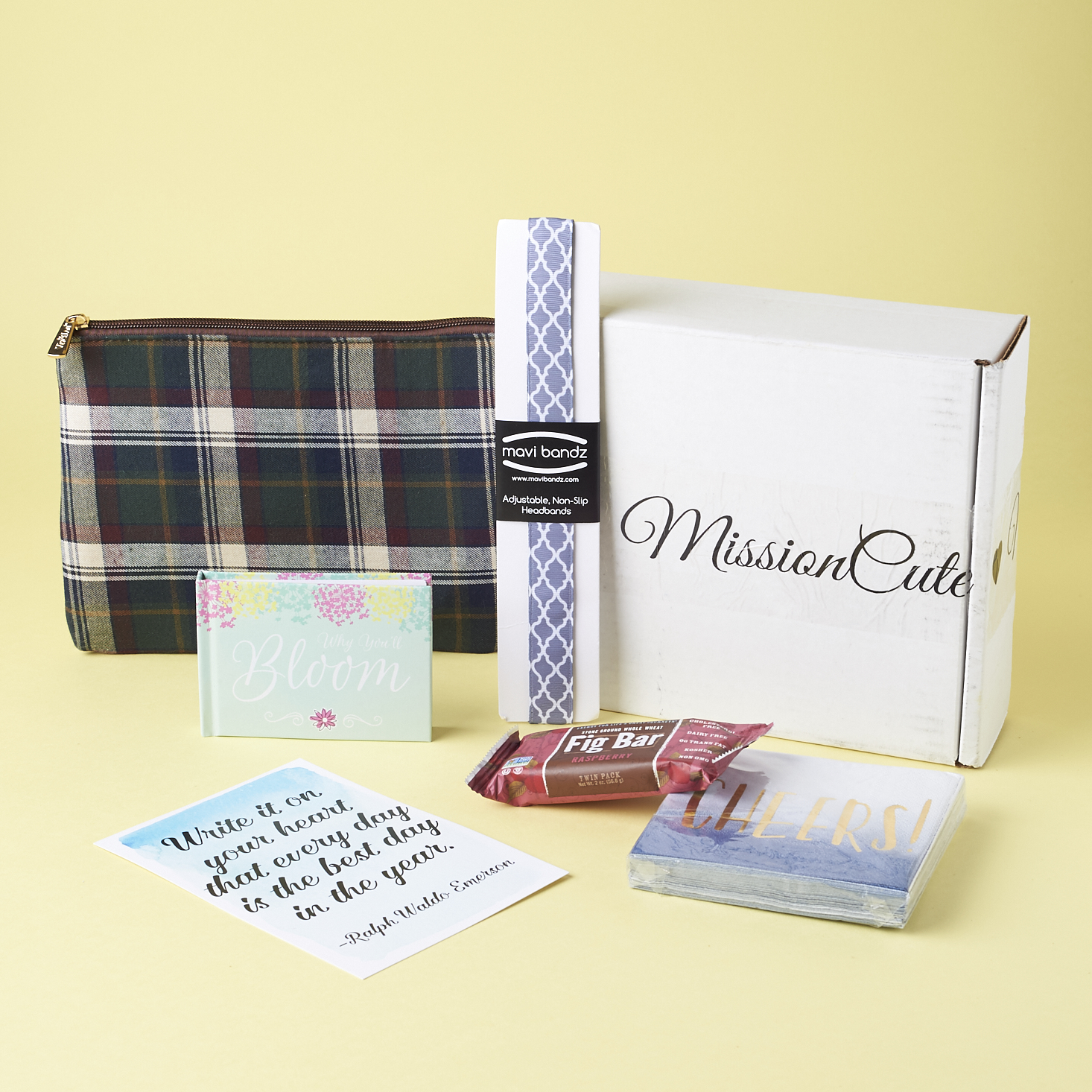 Check out what's inside the January 2017 Mission Cute box!