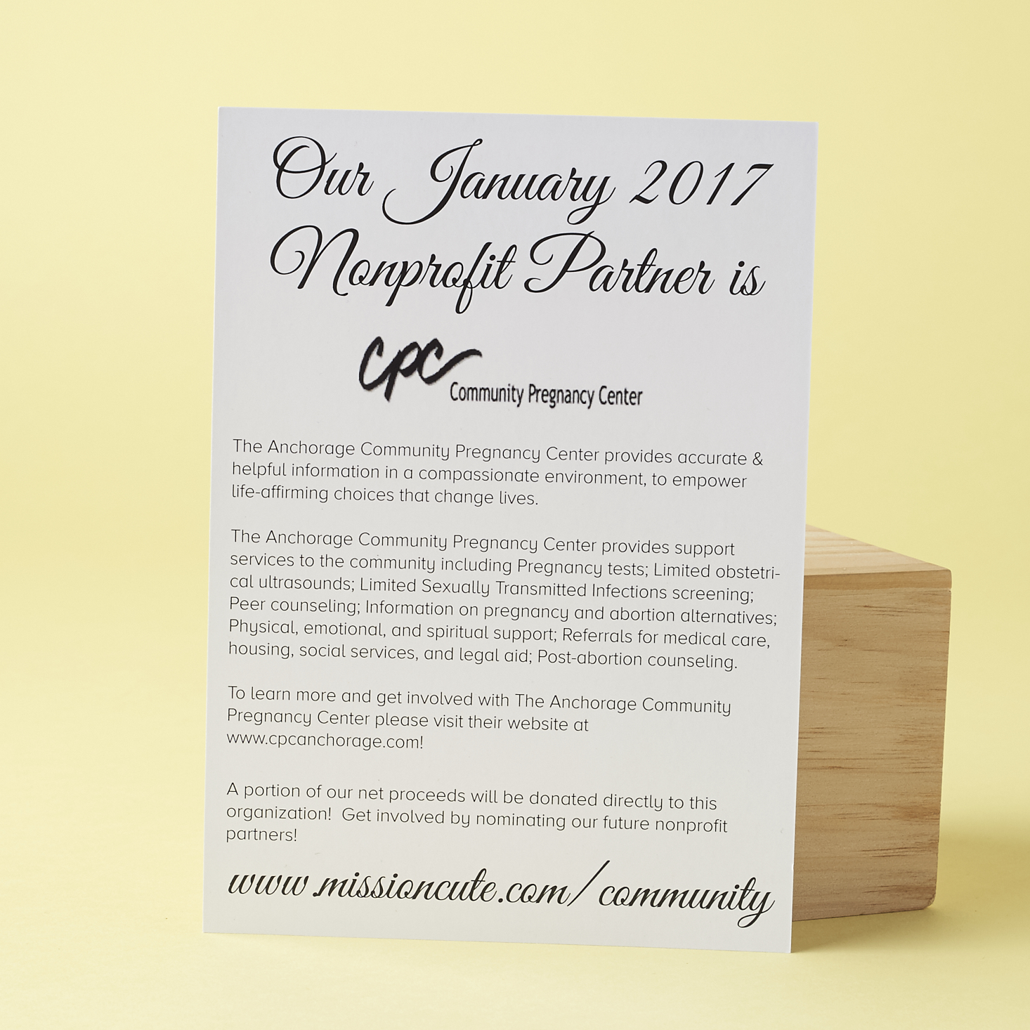 Check out what's inside the January 2017 Mission Cute box!