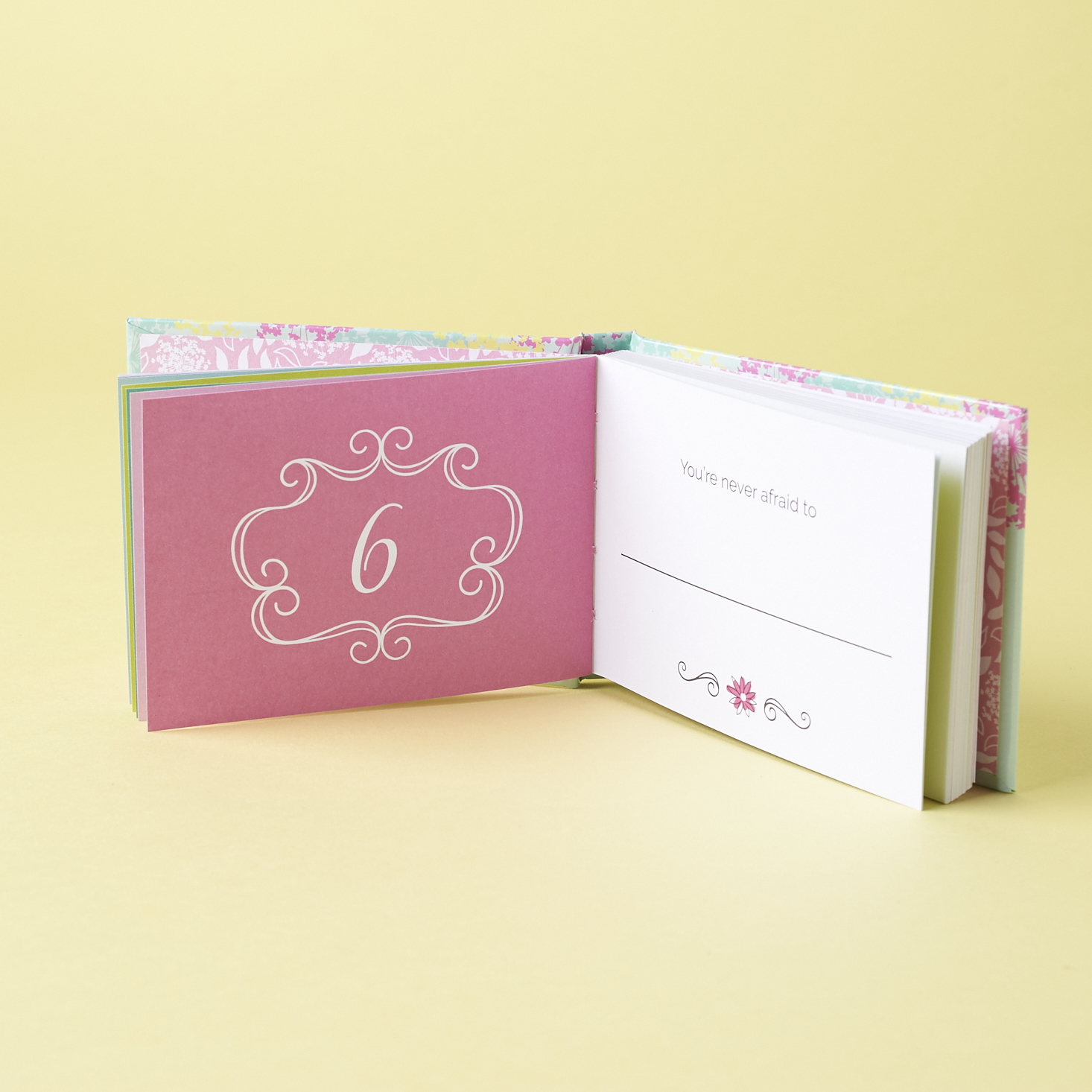 Check out what's inside the January 2017 Mission Cute box!