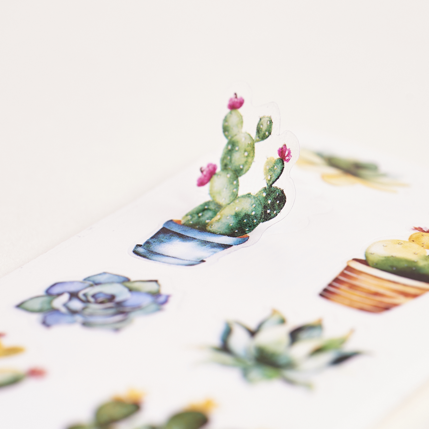 Check out our review of the February Pipsticks Pro Club Petite pack!