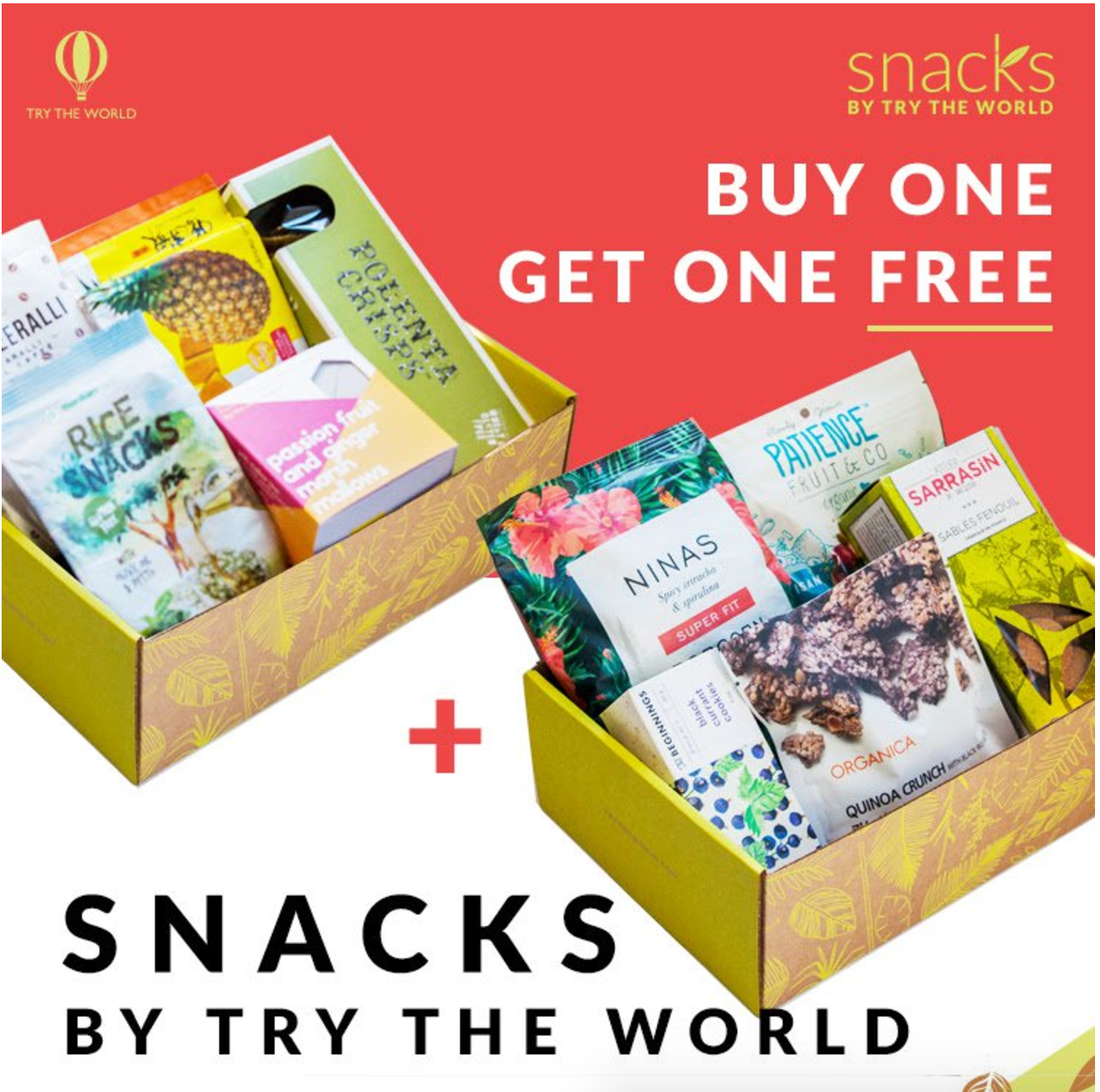 Try The World Snack Box Deal- Buy One Box, Get One FREE