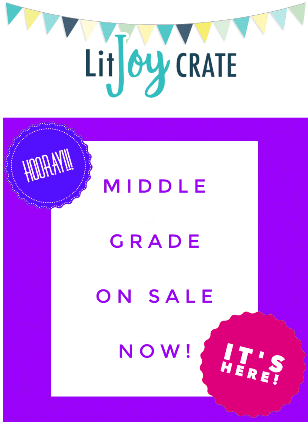 LitJoy Middle Grade Crate Subscription – Available Now!