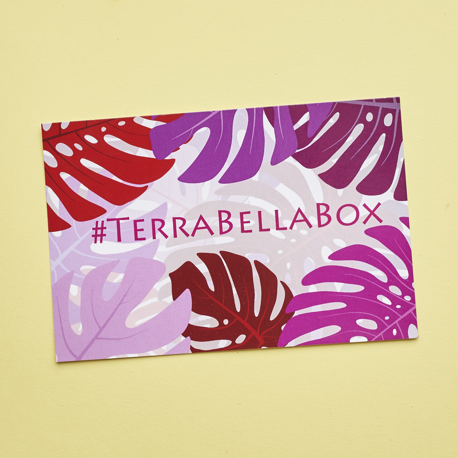 Terra-Bella-Box-February-2017-0004