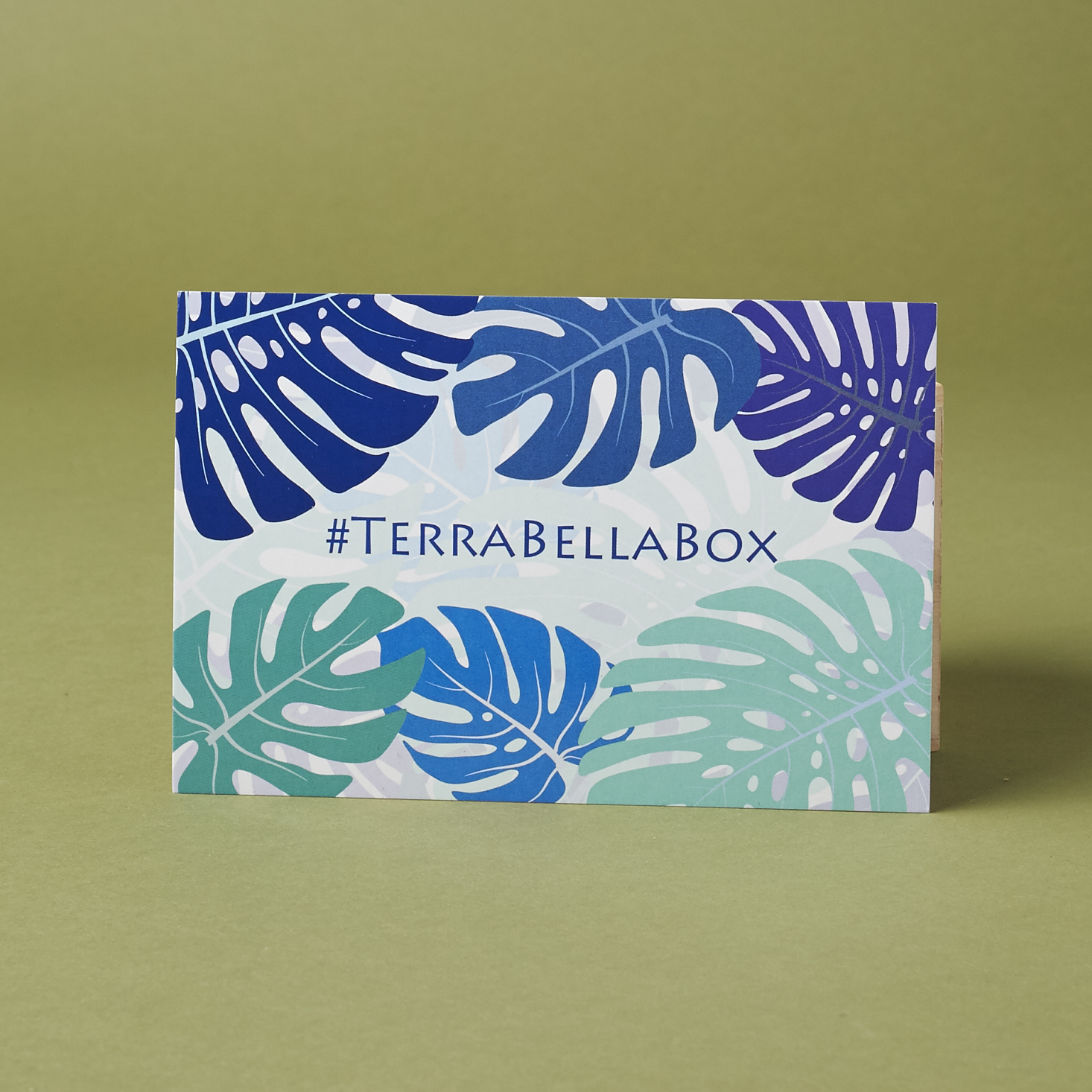 Terra-bella-box-january-2017-0006