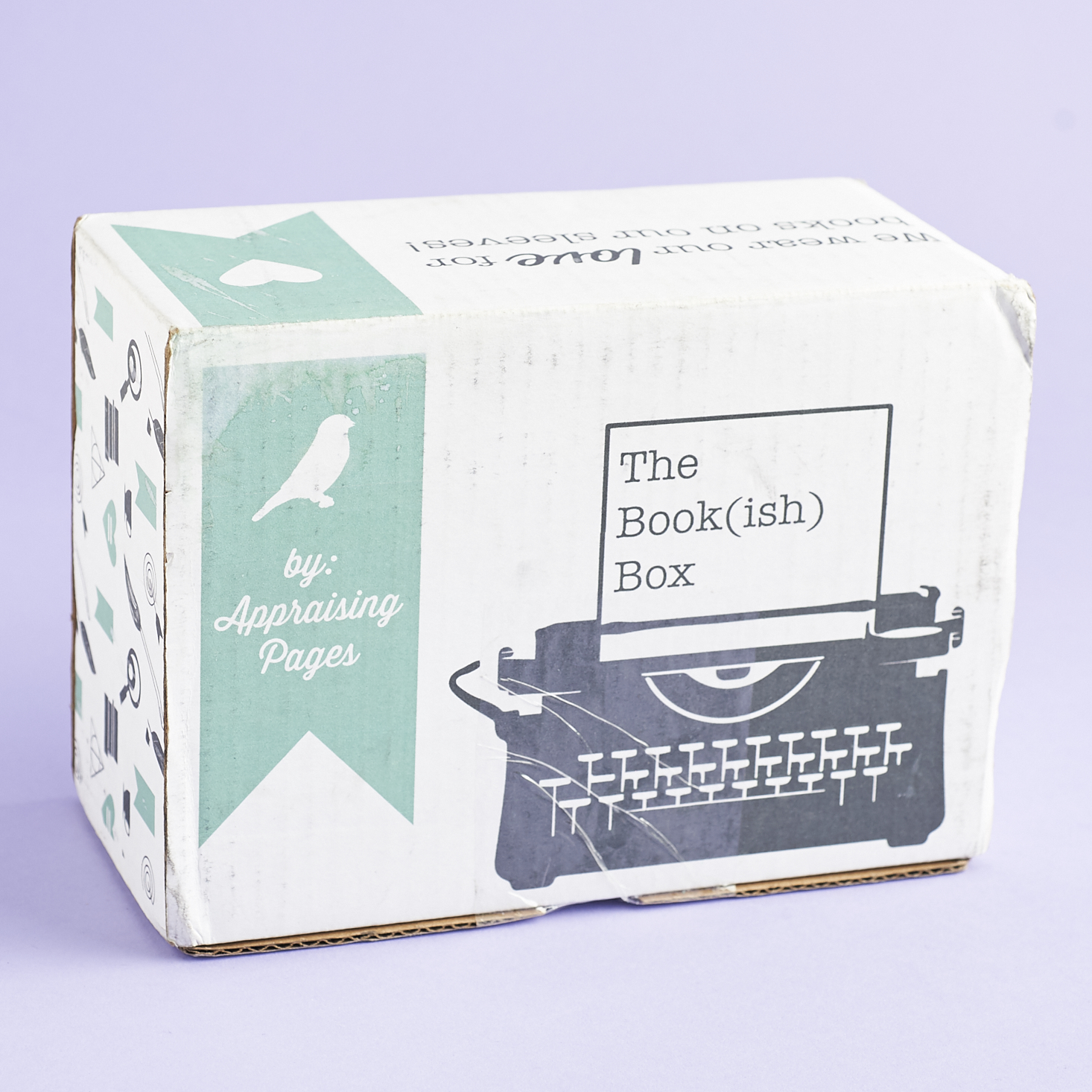 Check out our review of The Book(ish) Box for January 2017!