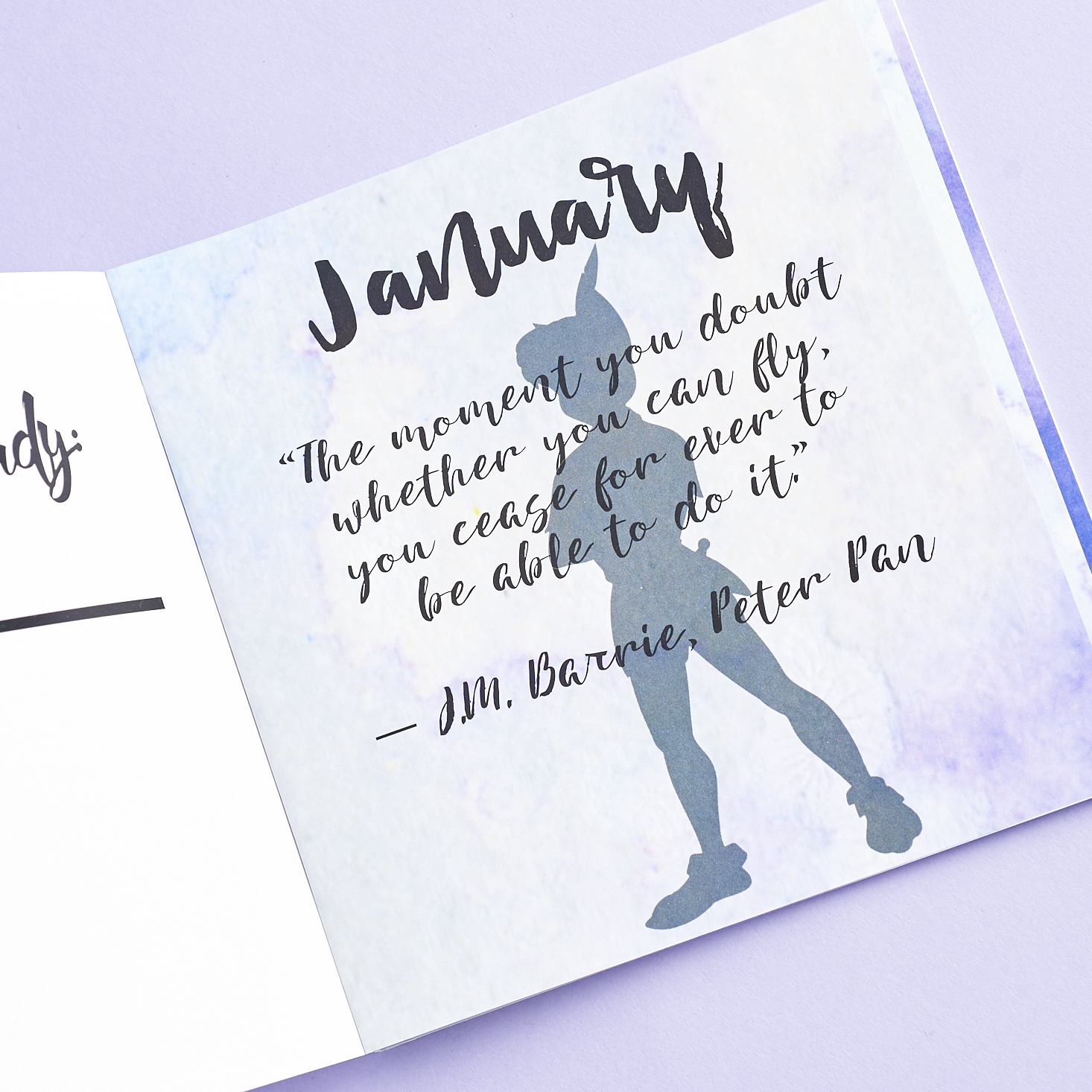 Check out our review of The Book(ish) Box for January 2017!