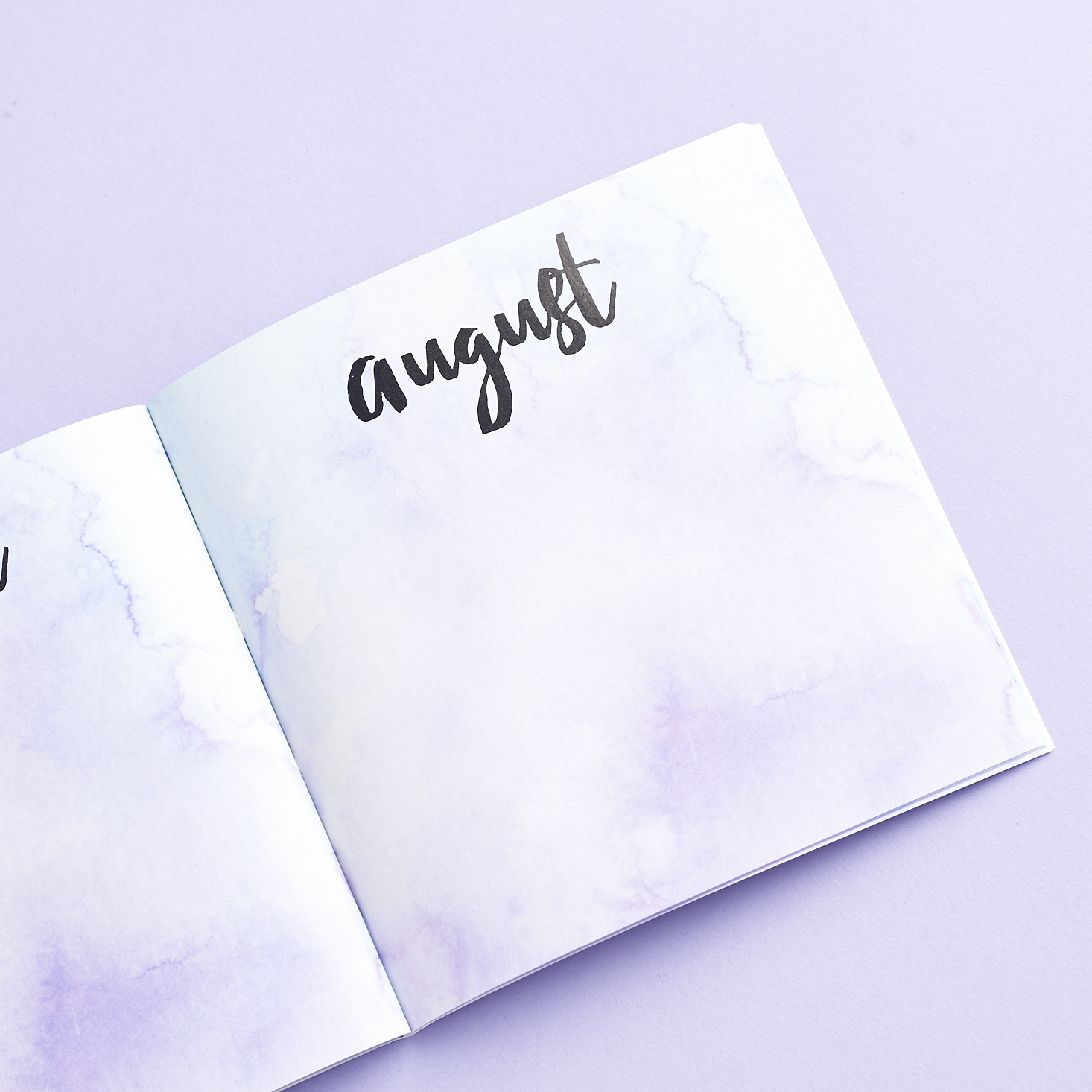 Check out our review of The Book(ish) Box for January 2017!