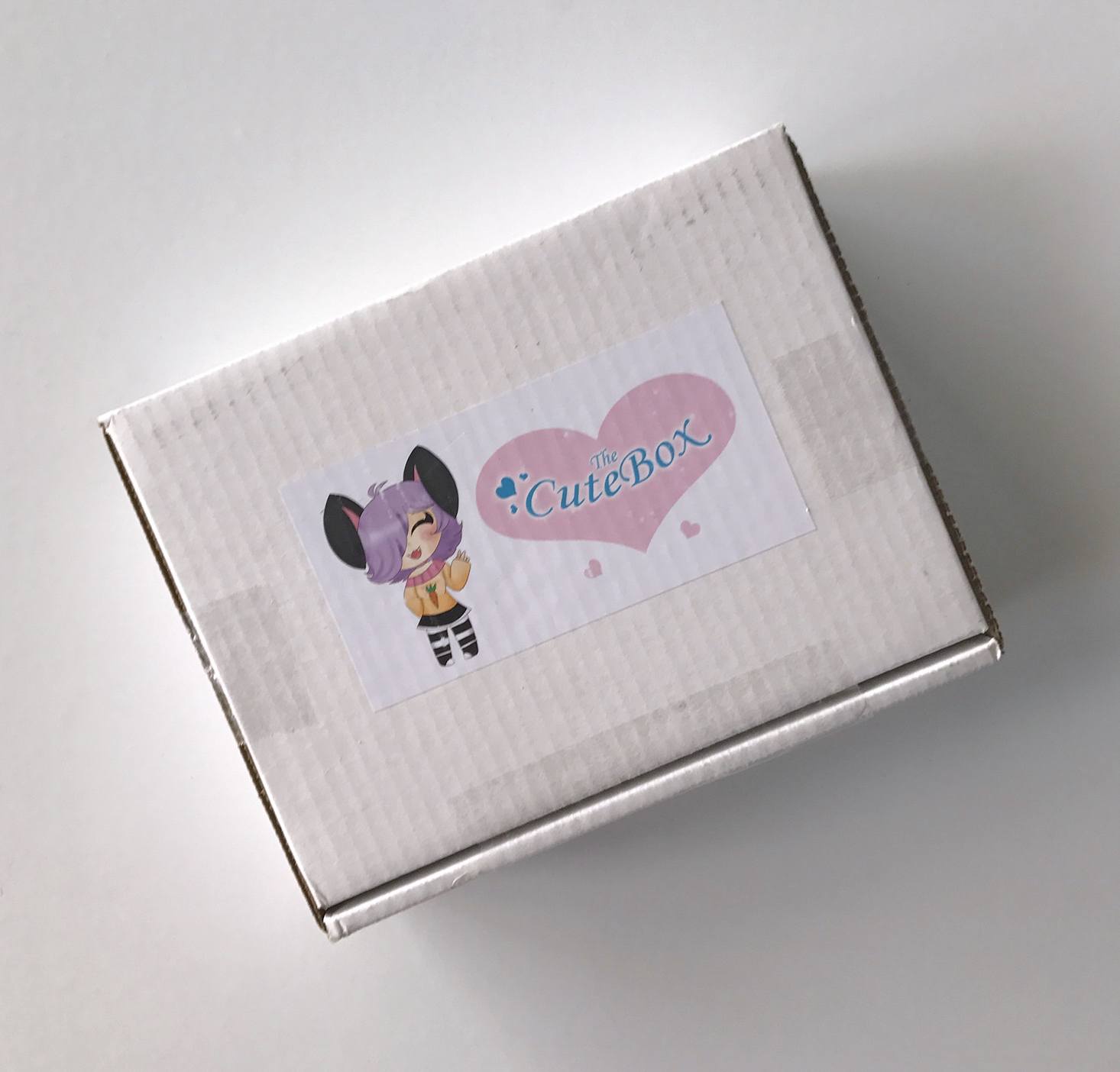 The-CuteBox-January-2017-Box