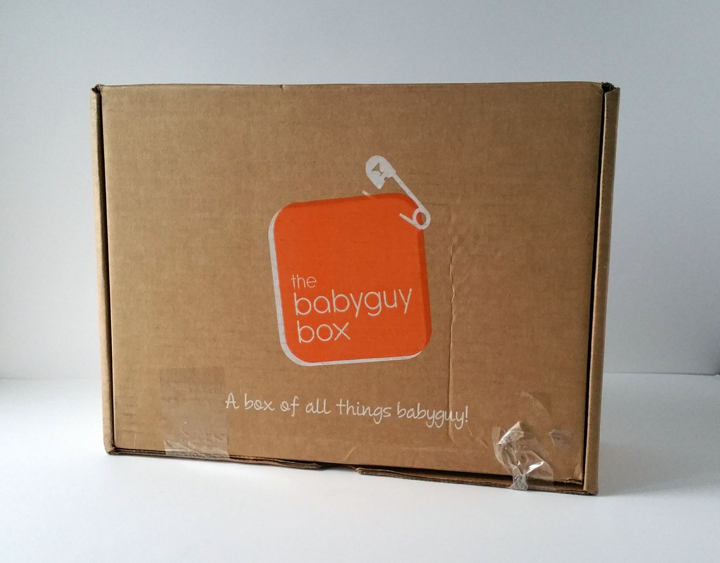 The BabyGuy Box Subscription Review – January 2017