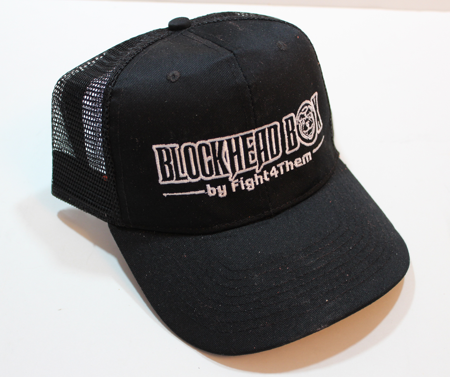 blockhead-box-march-2017-hat