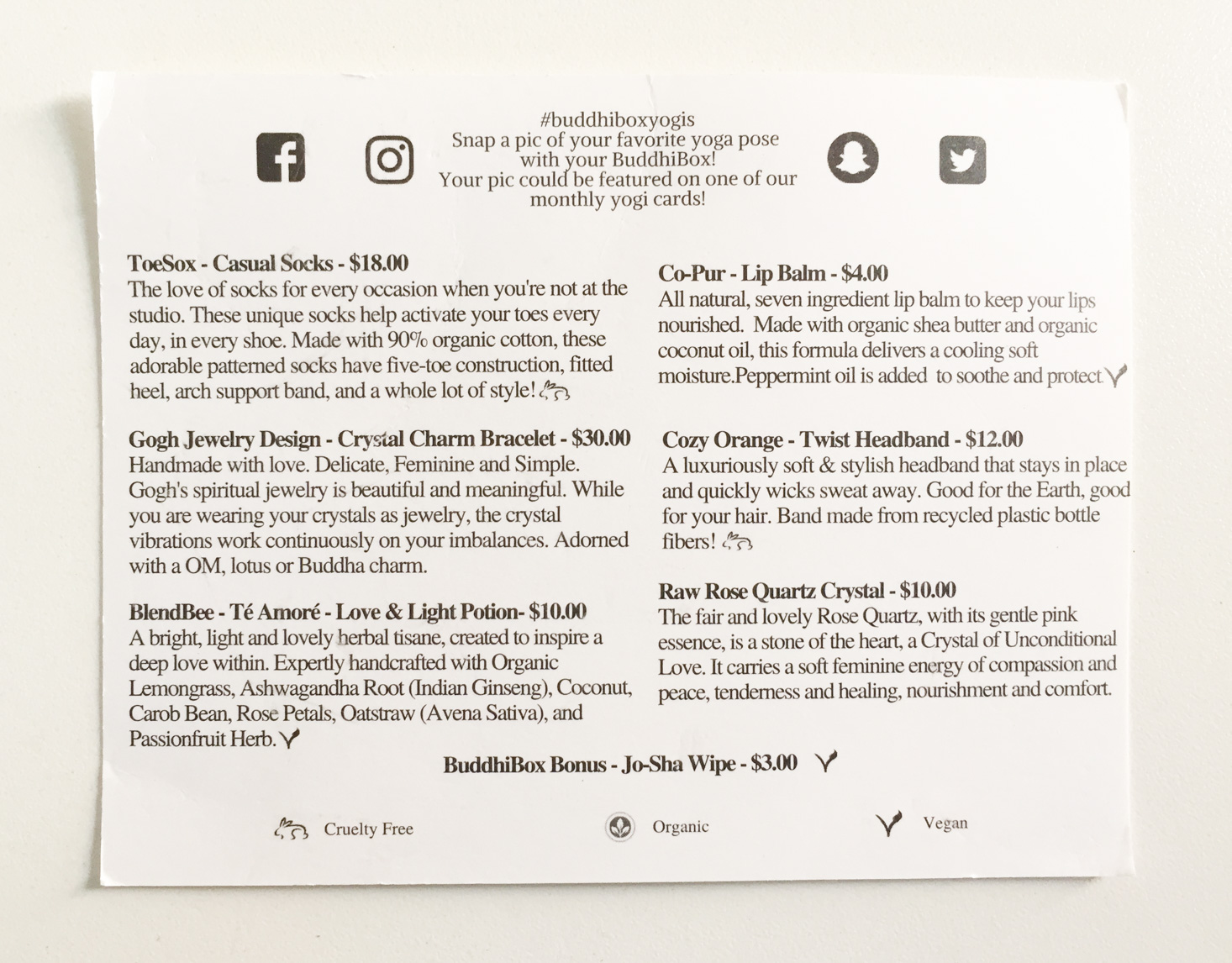 buddhibox-february-2017-booklet
