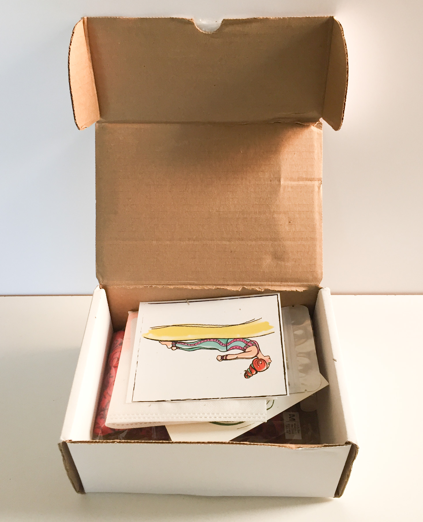 buddhibox-february-2017-box-inside