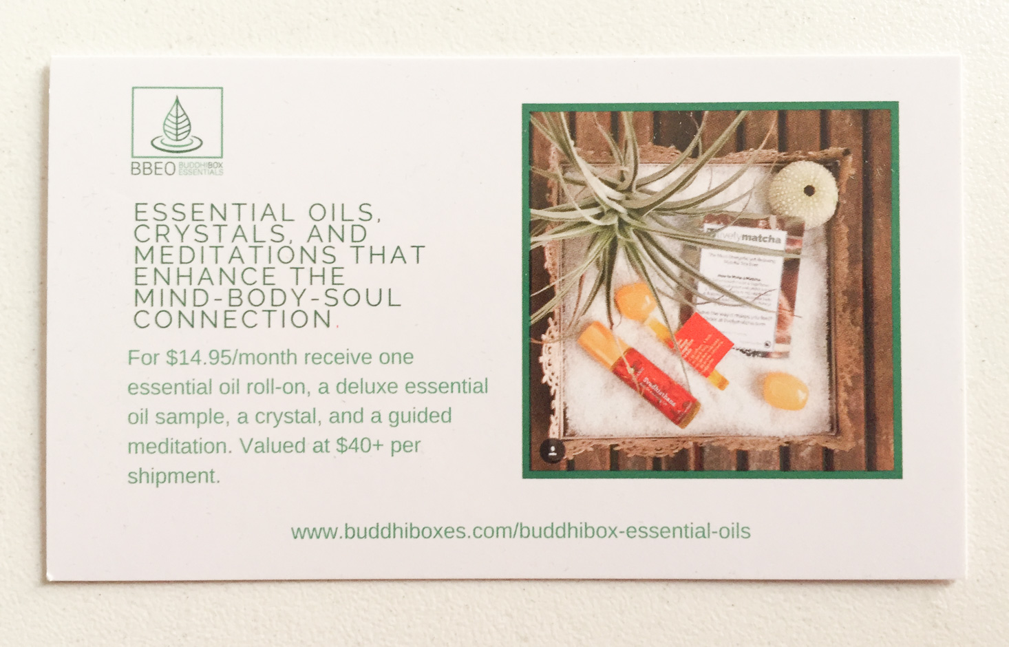 buddhibox-january-2017-BBEO