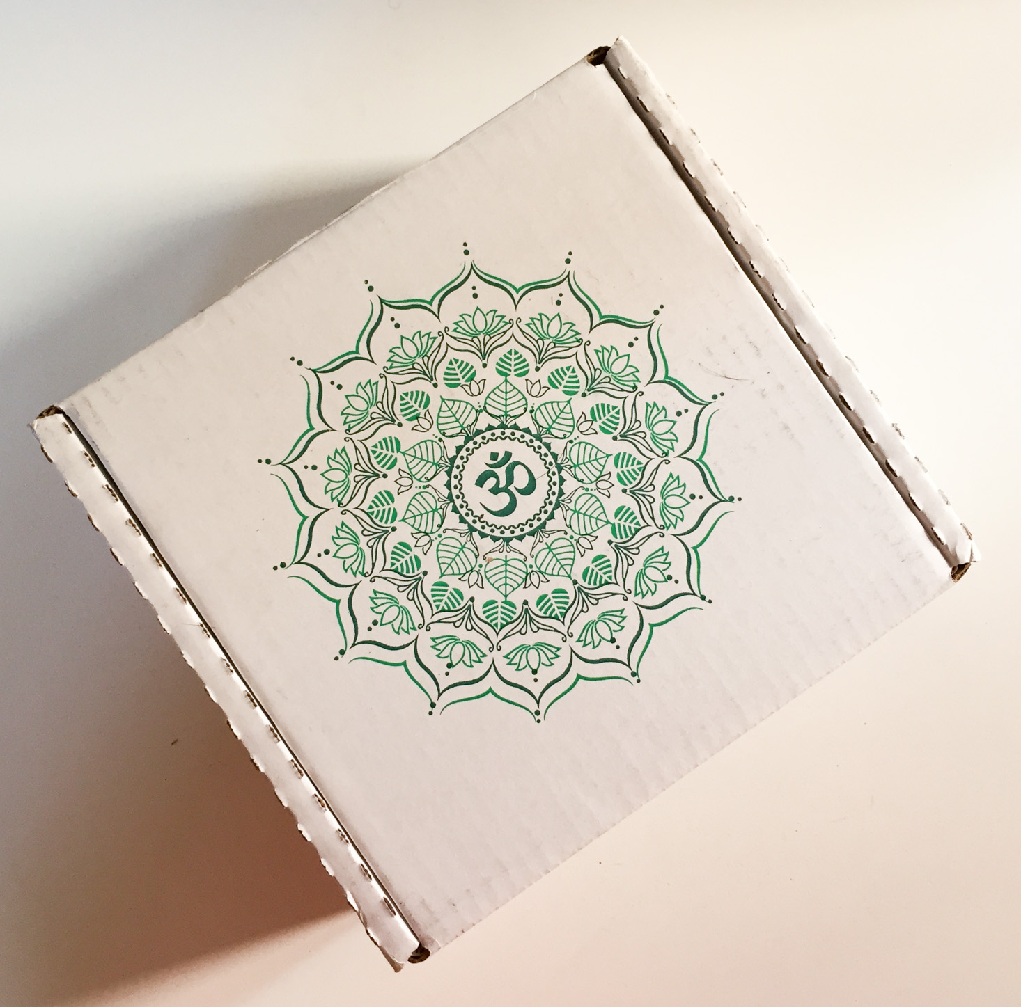 buddhibox-january-2017-box
