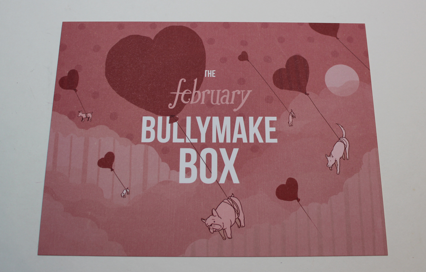 bullymake-box-february-2017-booklet-front