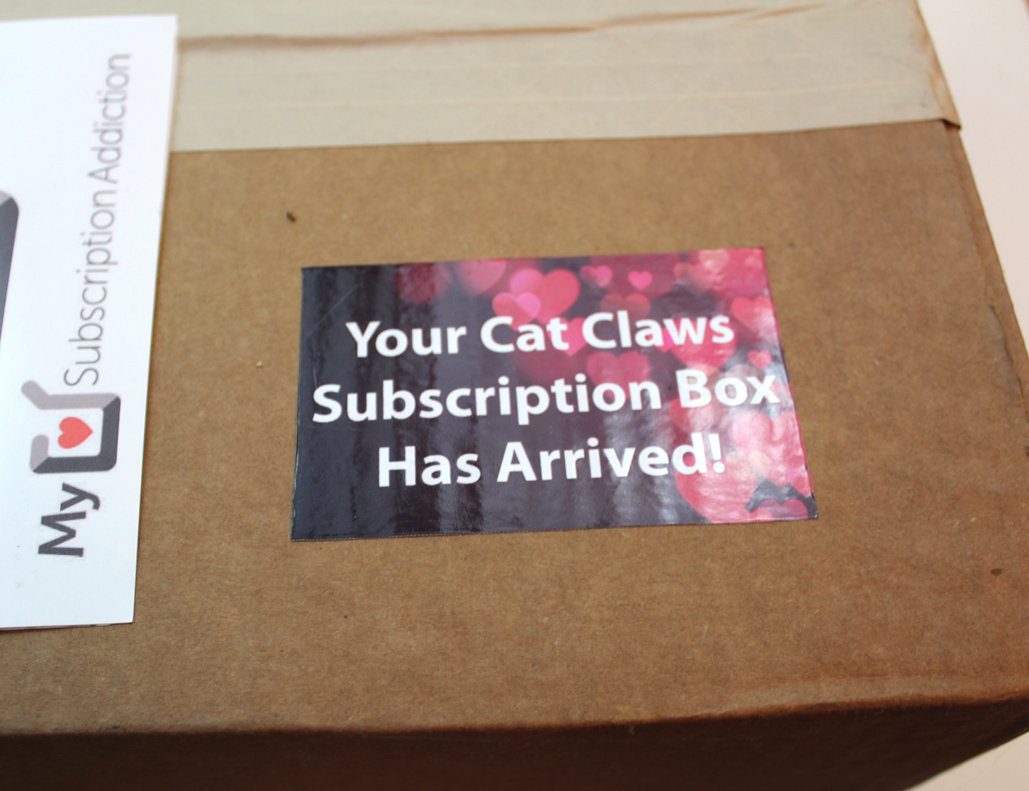 Cat Claws Club Subscription Box Review – February 2017