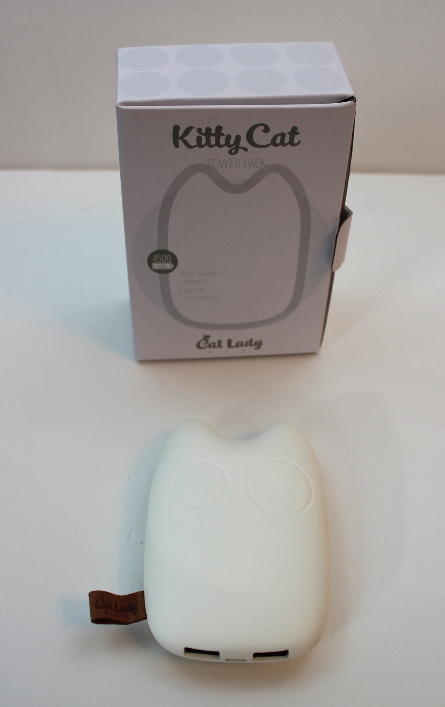 cat-lady-box-february-2017-power-bank