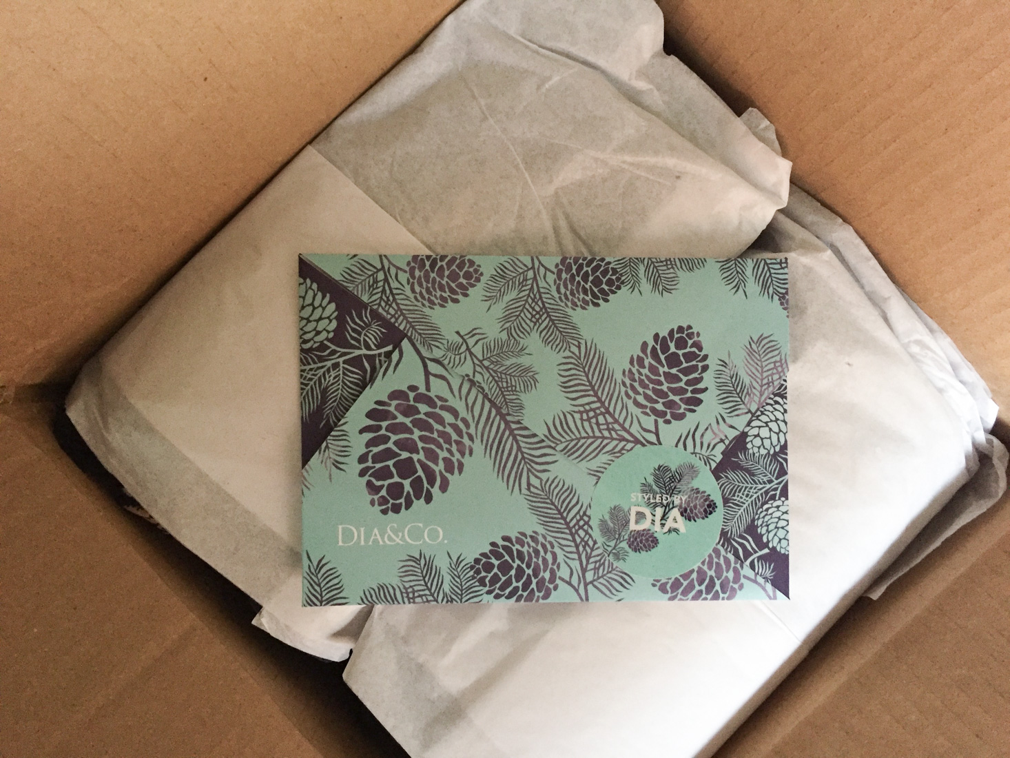 dia-and-co-february-2017-box-inside