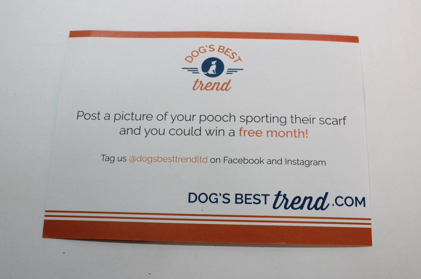 dogs-best-trend-february-2017-booklet-back