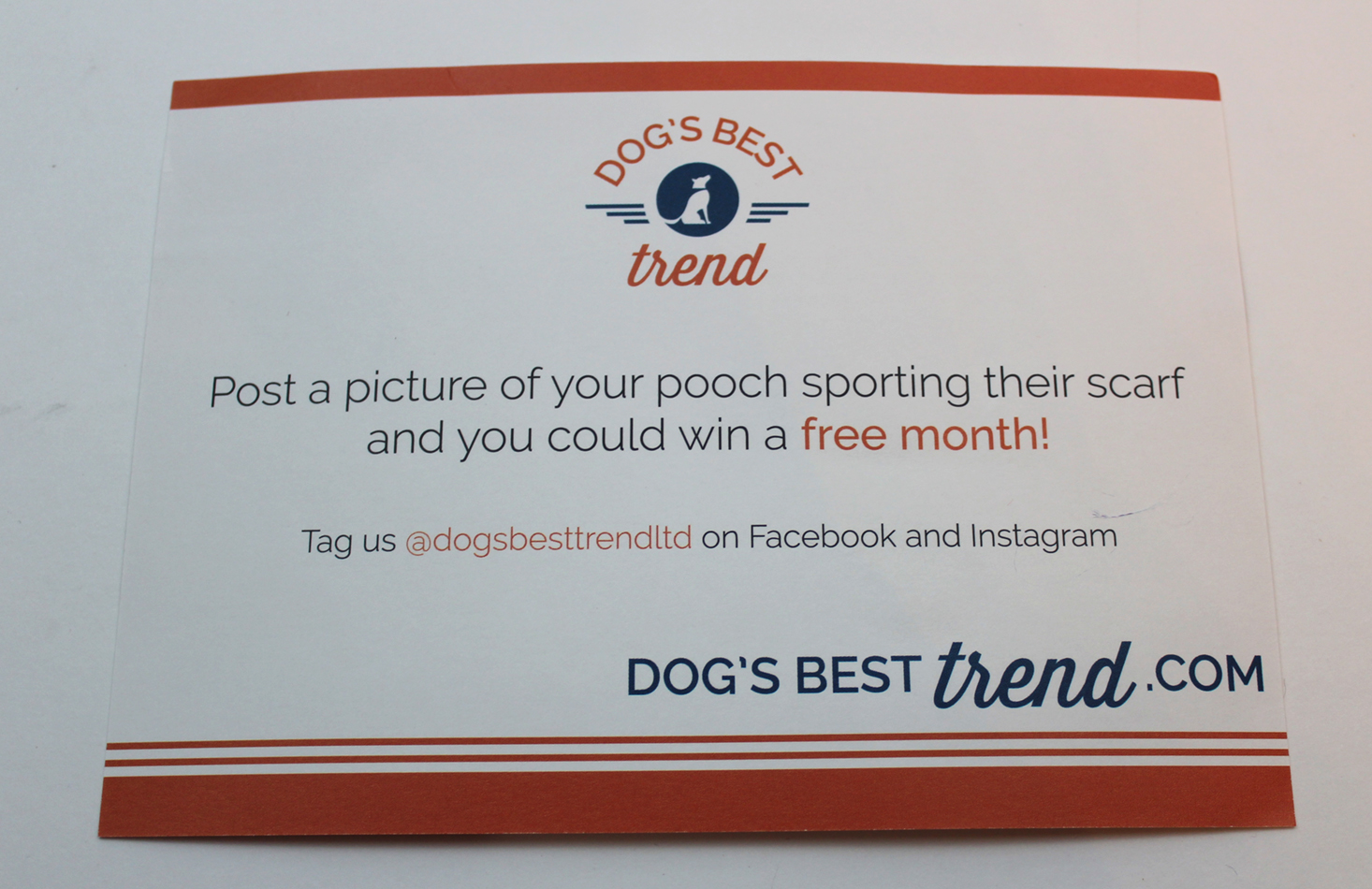 dogs-best-trend-january-2017-booklet-back