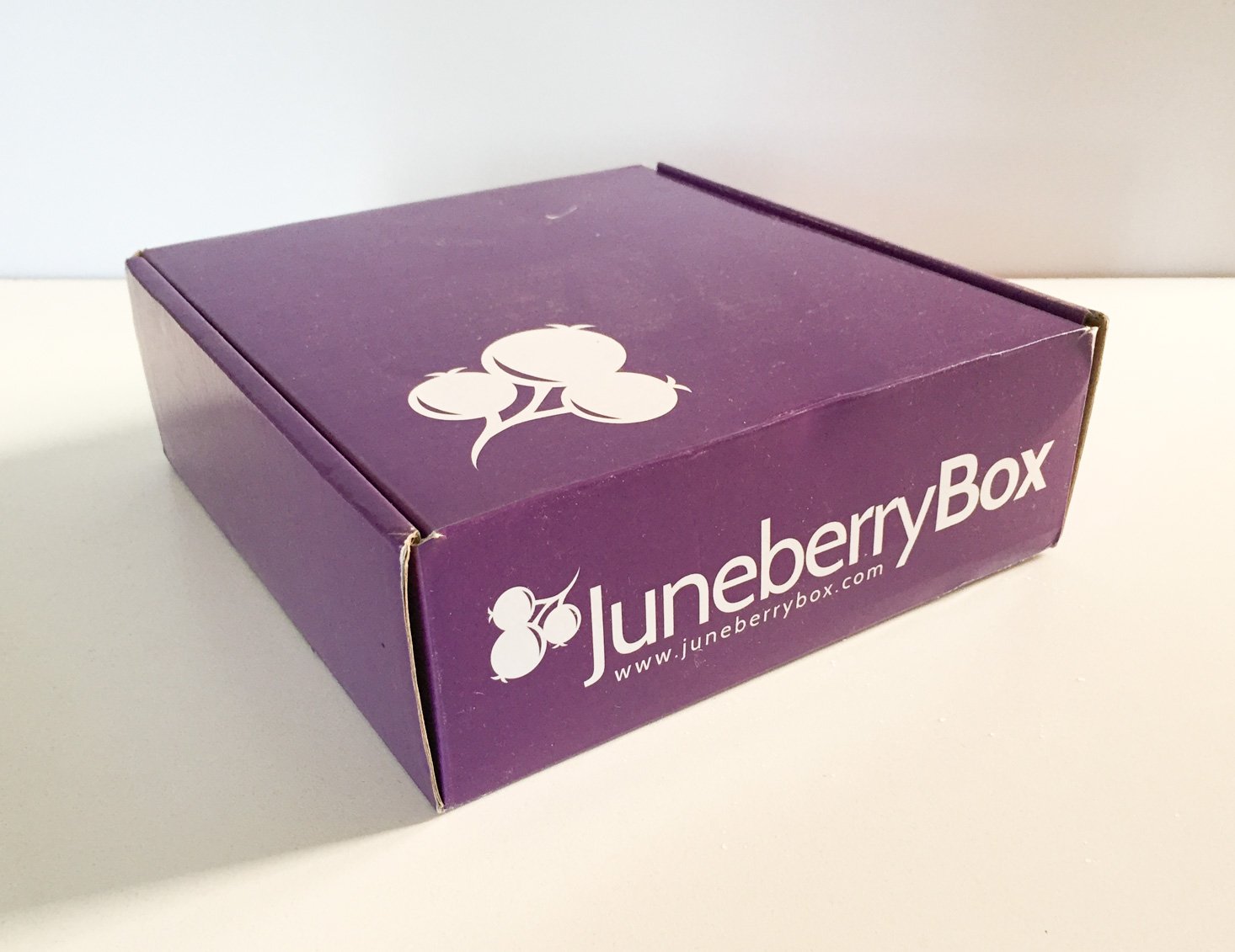 Juneberry Subscription Box Review – February 2017