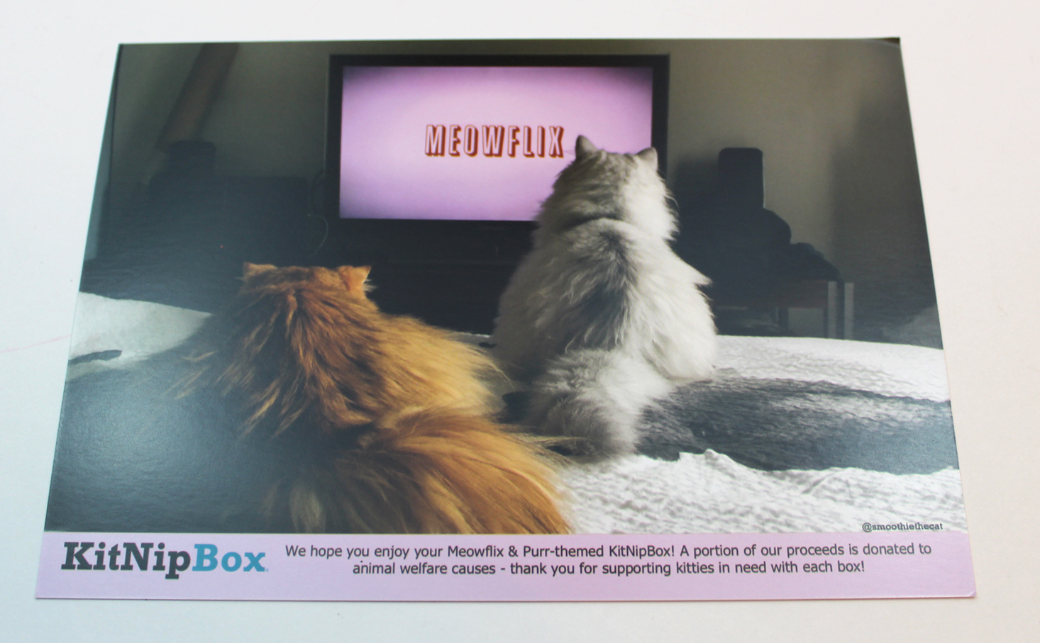 kitnipbox-february-2017-booklet-front