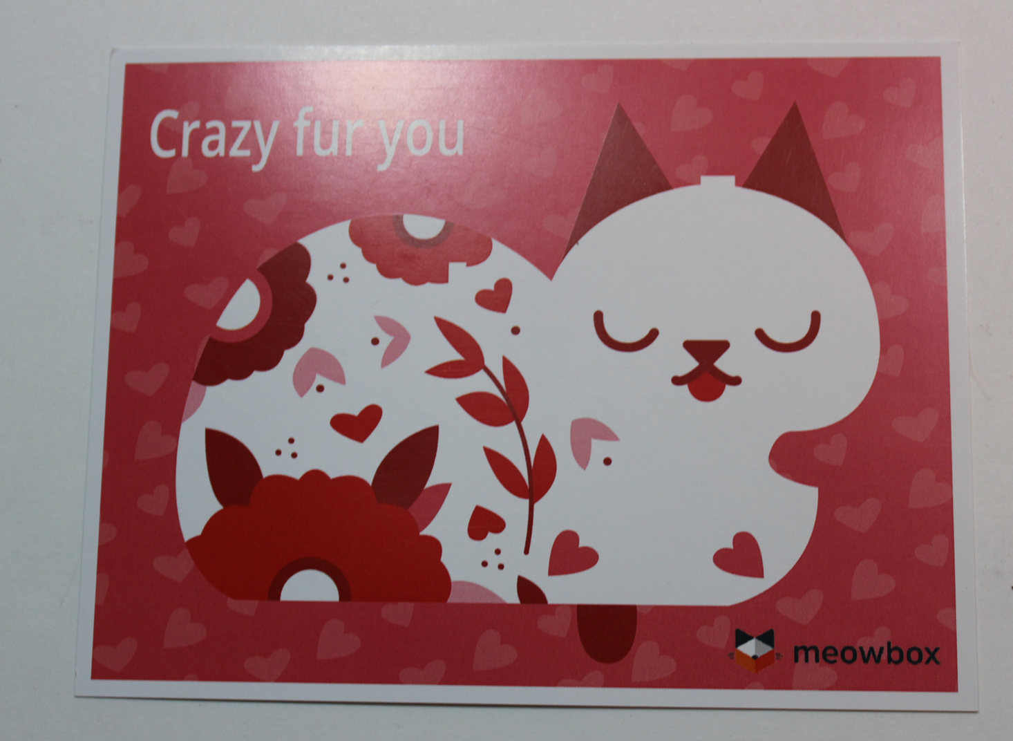 meowbox-february-2017-booklet-front