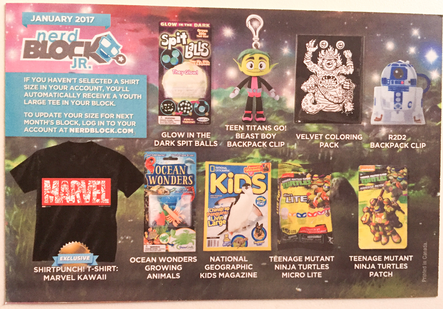 nerd-block-jr-boys-january-2017-booklet