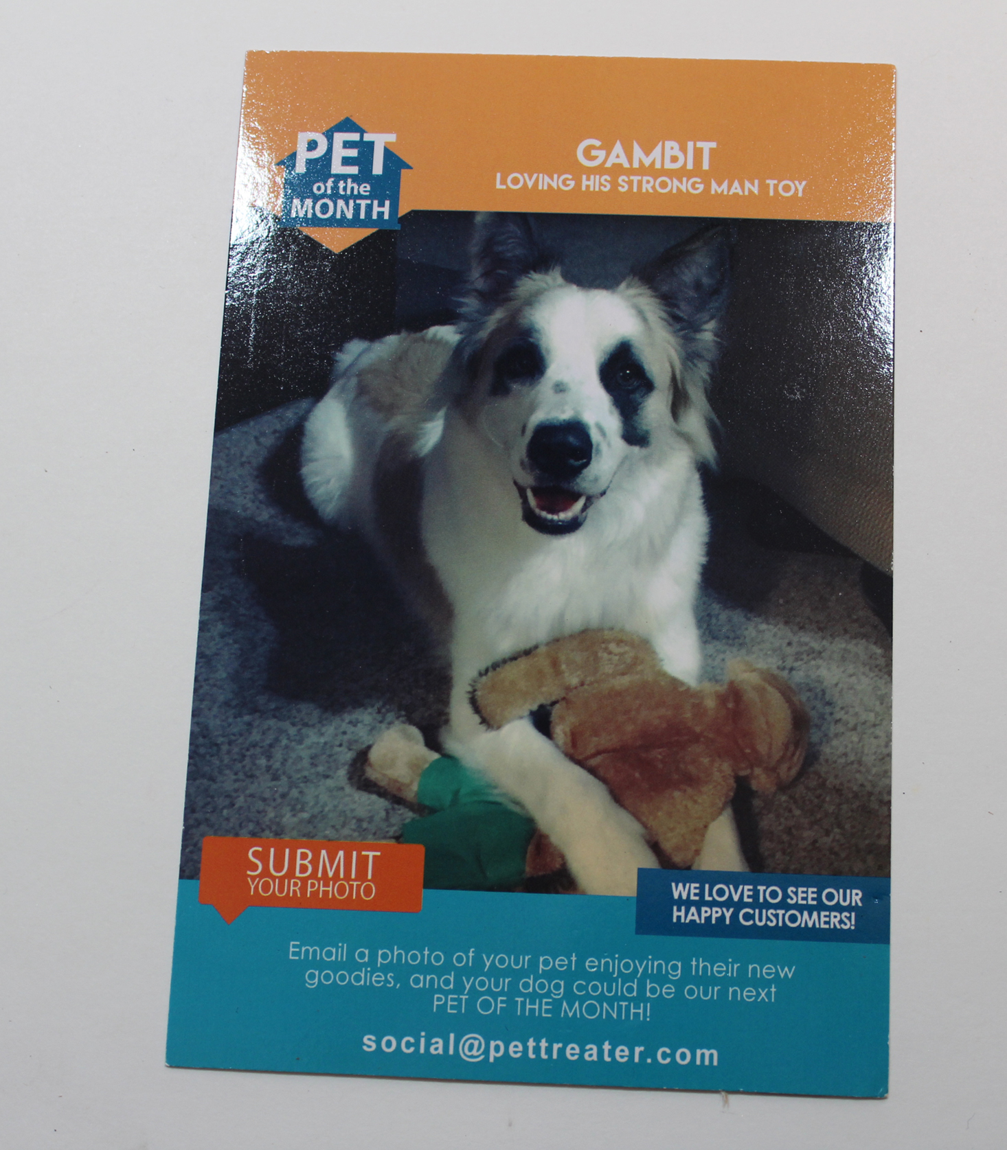 pet-treater-february-2017-booklet-front