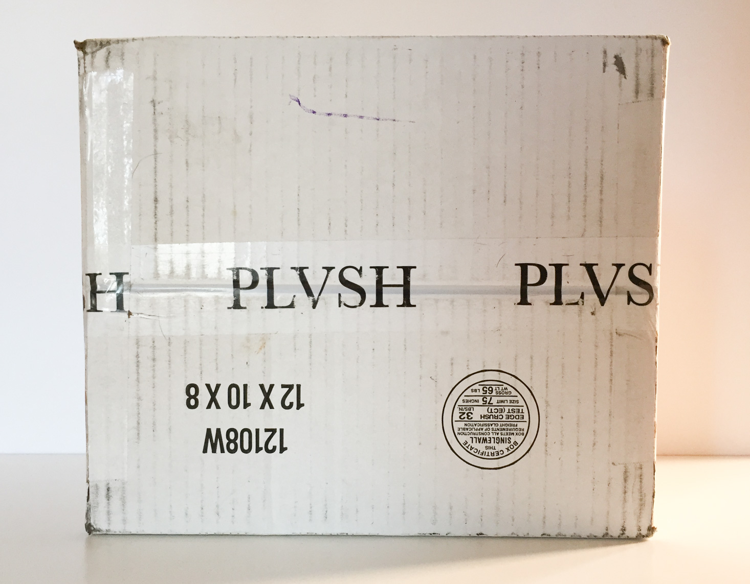 PLVSH Style Subscription Box Review – January 2017