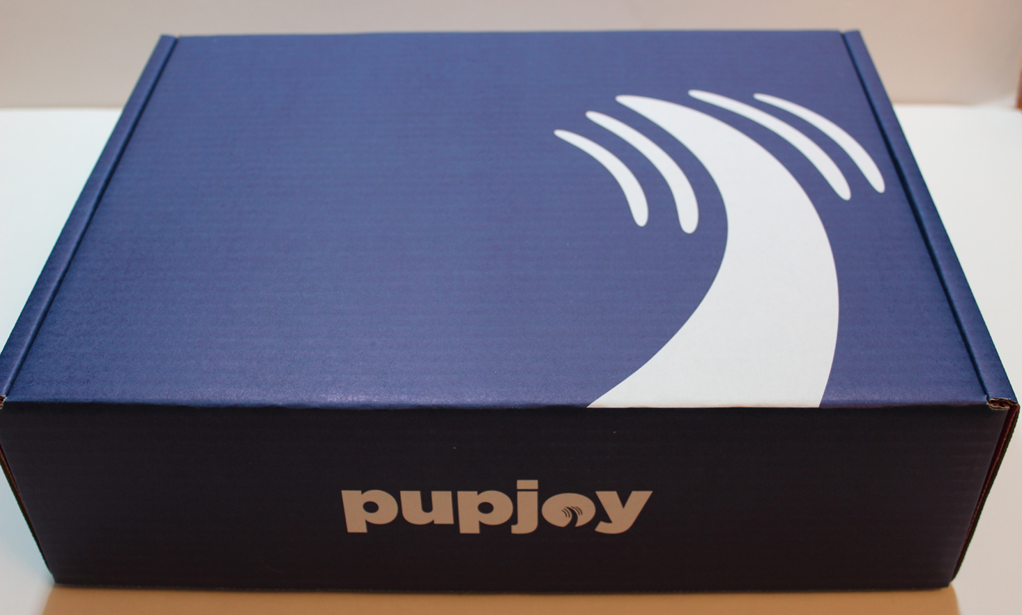 Pupjoy Dog Subscription Box Review + Coupon – February 2017