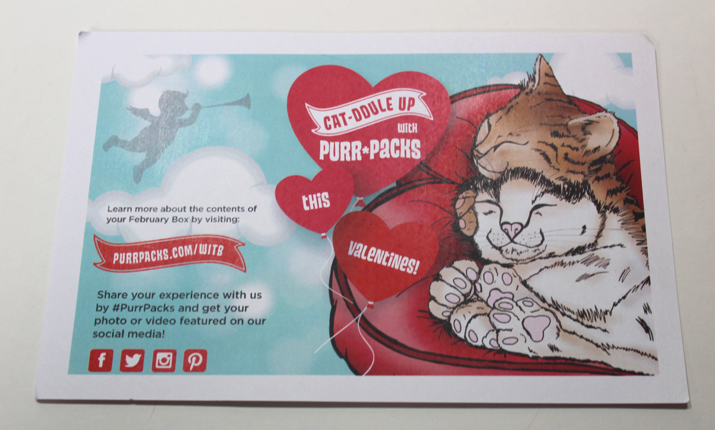 purr-packs-february-2017-booklet