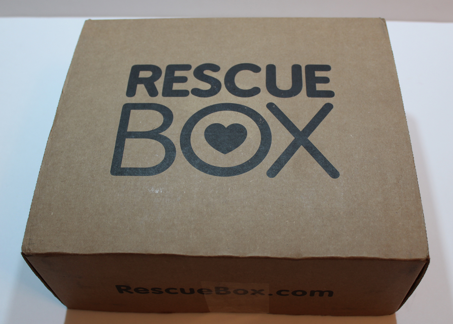 RescueBox Dog Subscription Box Review – February 2017